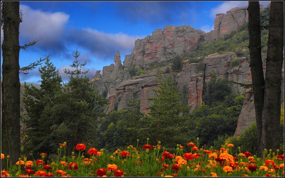 Castle Cottage Bed & Breakfast Belogradchik Exterior foto